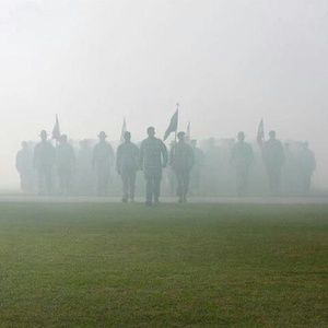 Meet your Posher, Bruce